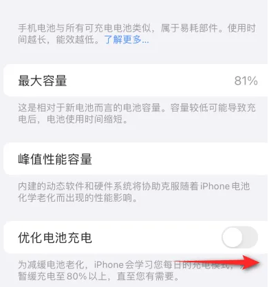 镶黄苹果15维修分享iPhone15充电到80%就充不进电了怎么办 