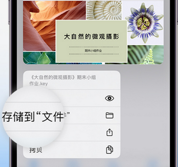 镶黄apple维修中心分享iPhone文件应用中存储和找到下载文件