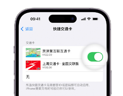 镶黄apple维修点分享iPhone上更换Apple Pay快捷交通卡手绘卡面 