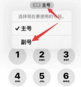 镶黄苹果14维修店分享iPhone 14 Pro Max使用副卡打电话的方法 