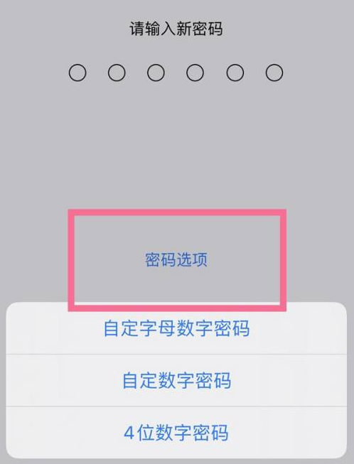 镶黄苹果14维修分享iPhone 14plus设置密码的方法 