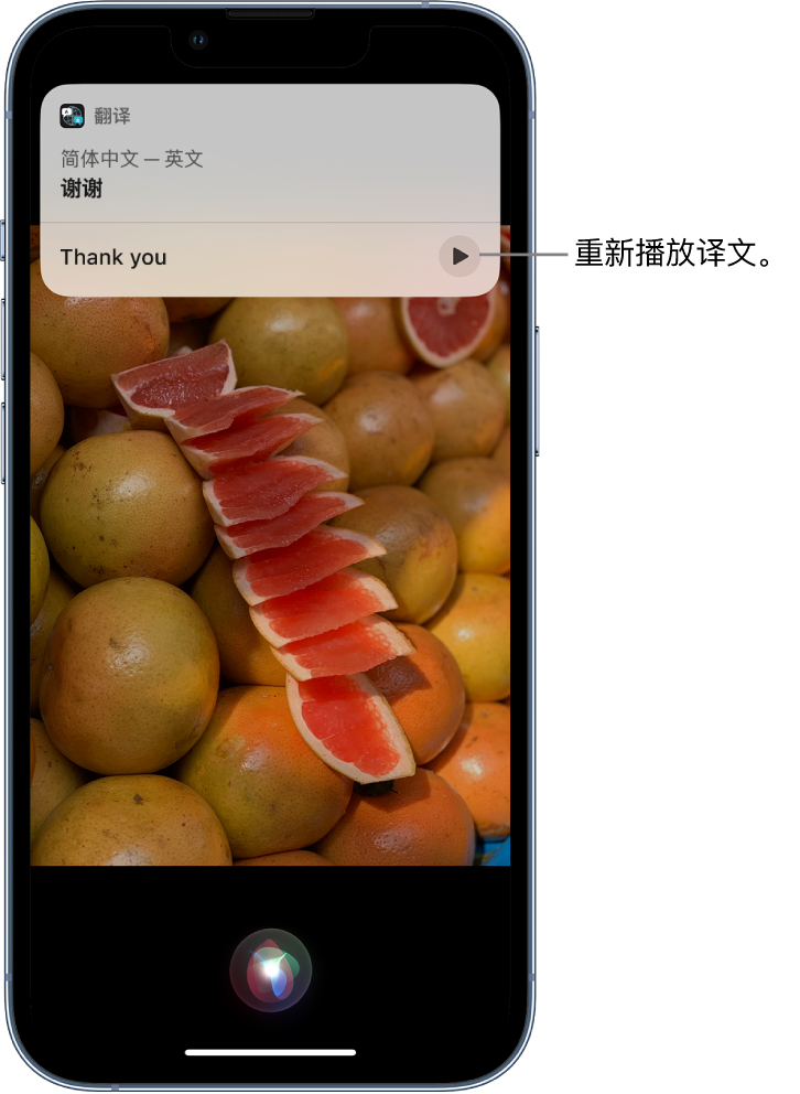 镶黄苹果14维修分享 iPhone 14 机型中使用 Siri：了解 Siri 能帮你做什么 