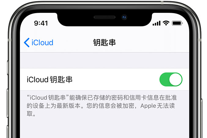 镶黄苹果手机维修分享在 iPhone 上开启 iCloud 钥匙串之后会储存哪些信息 