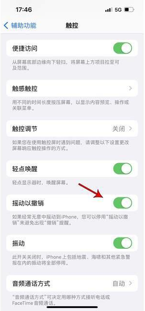 镶黄苹果手机维修分享iPhone手机如何设置摇一摇删除文字 