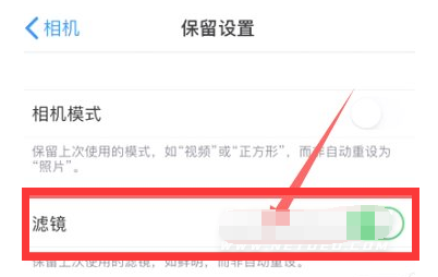 镶黄苹果13维修分享iPhone13拍照有绿点是怎么回事 