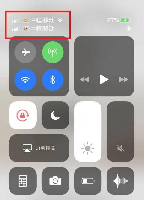 镶黄苹果手机维修分享为 iPhone 12 双卡设置标签 